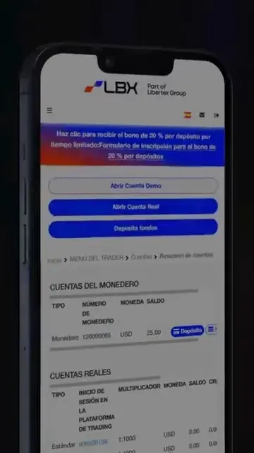 Captura de pantalla de la plataforma de trading de LBX con listado de cuentas y saldos en monedero Captura de pantalla de la plataforma de trading de LBX con listado de cuentas y saldos en monedero
